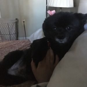 Meet your Posher, Mya